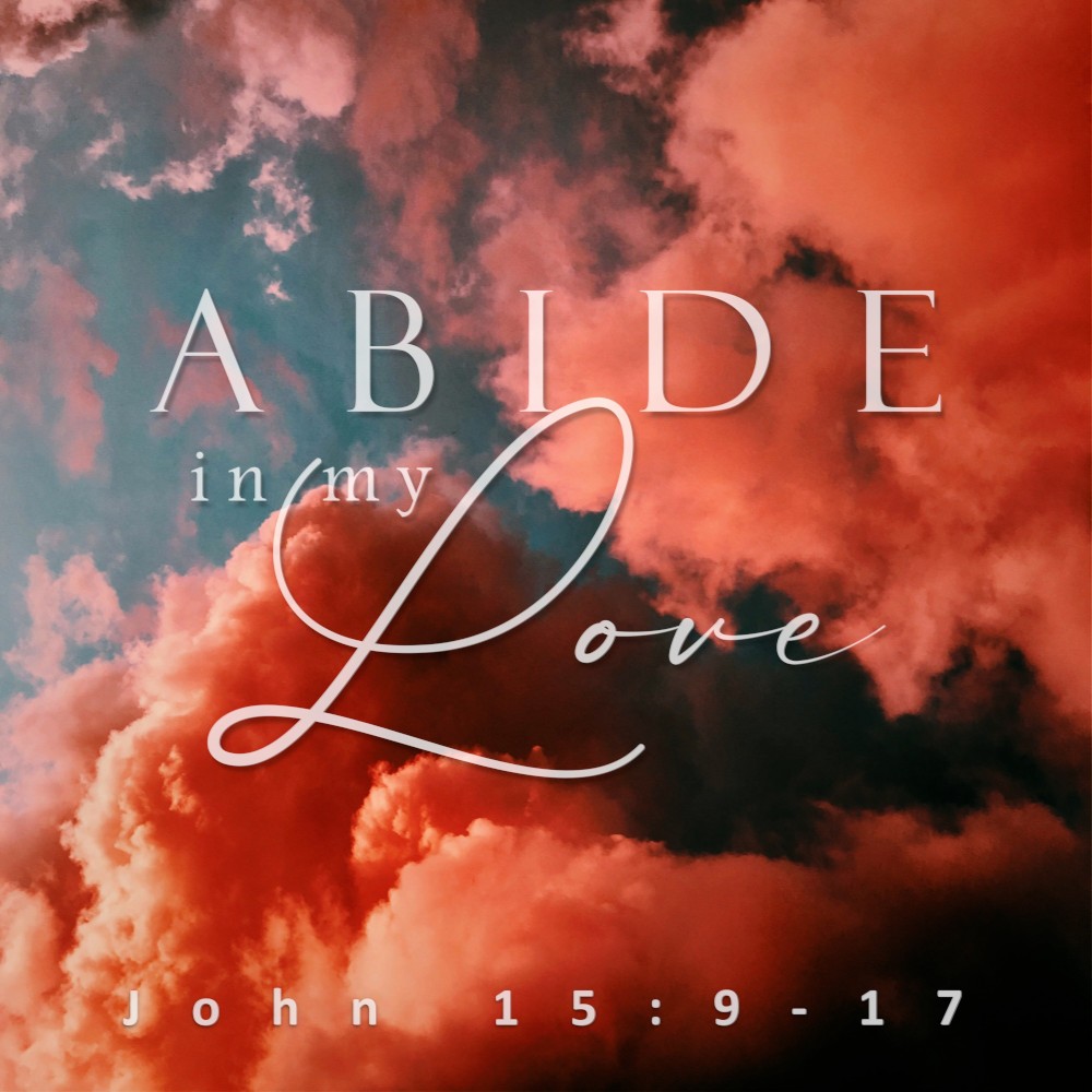 Album cover for Abide In My Love
