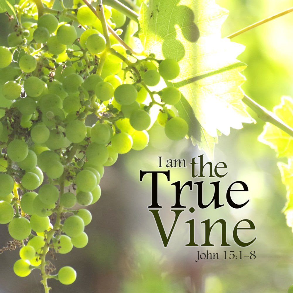 Album cover for I Am the True Vine