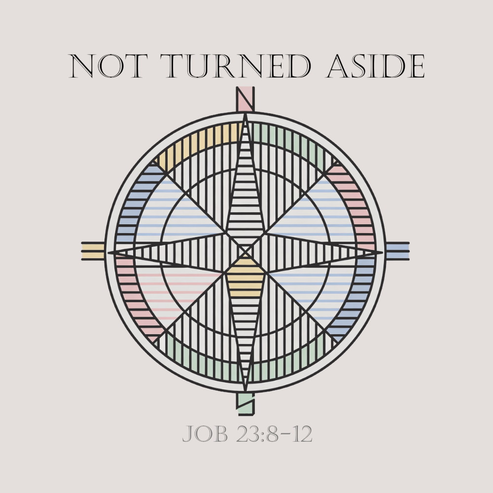 Album cover for Not Turned Aside