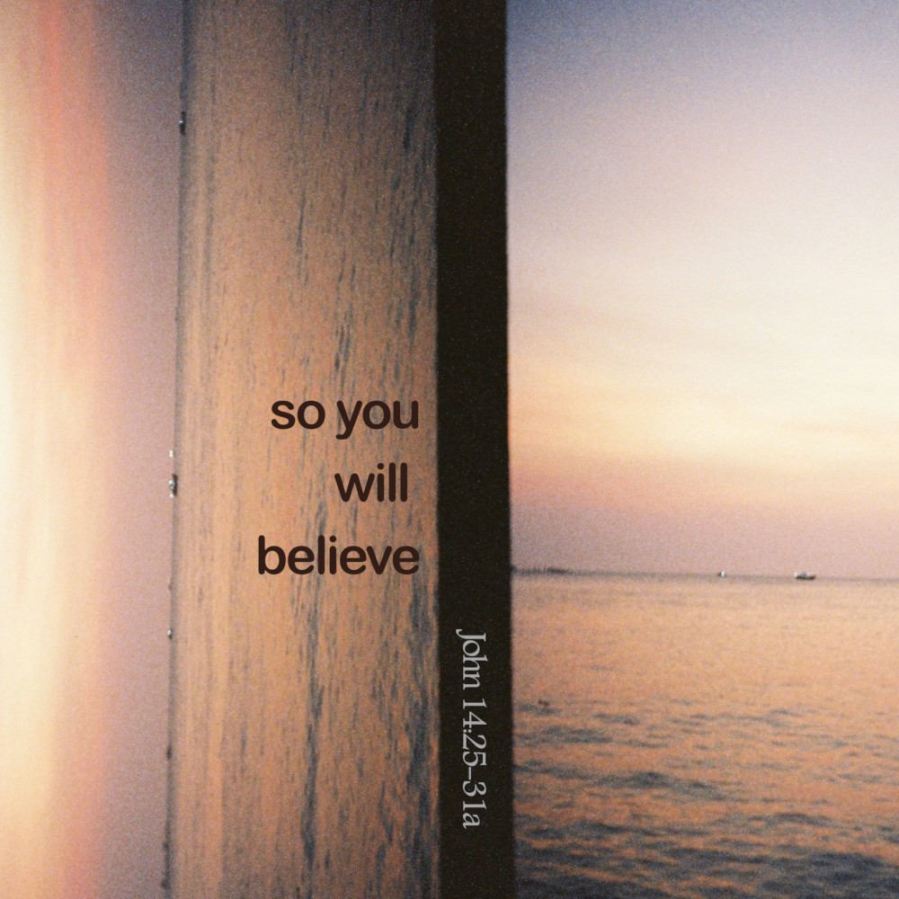 Album cover for So You Will Believe