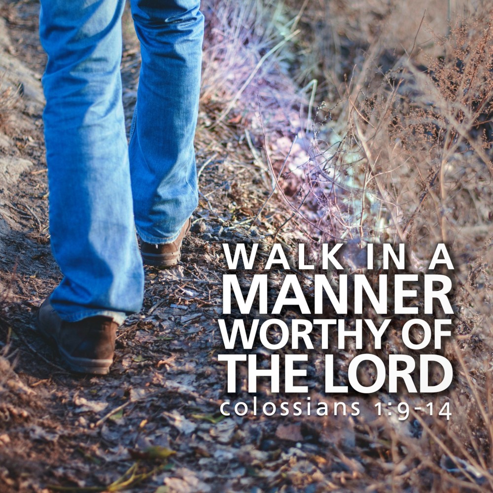 Album cover for Walk In a Manner Worthy of the Lord